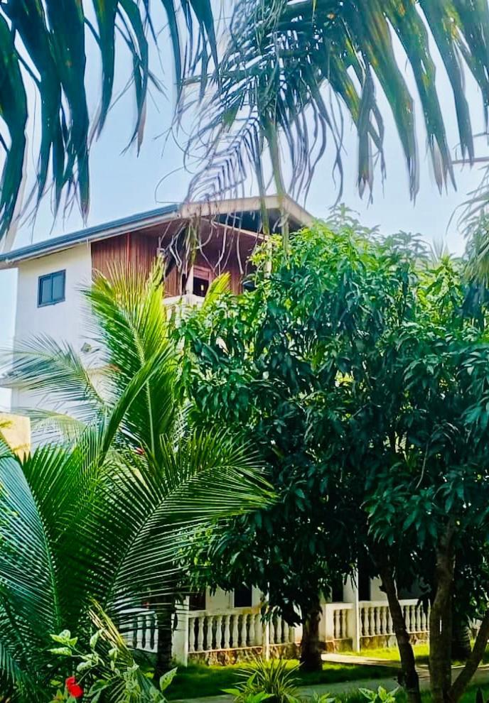 Serenity Haven Lodge Busua 外观 照片