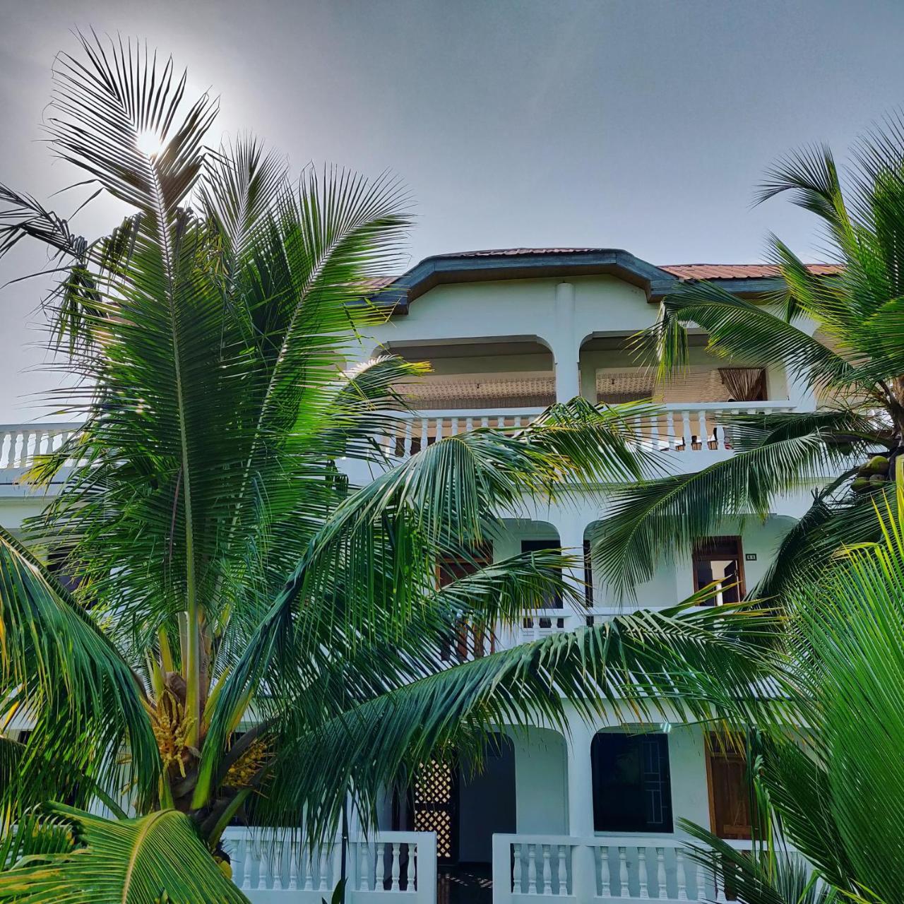 Serenity Haven Lodge Busua 外观 照片
