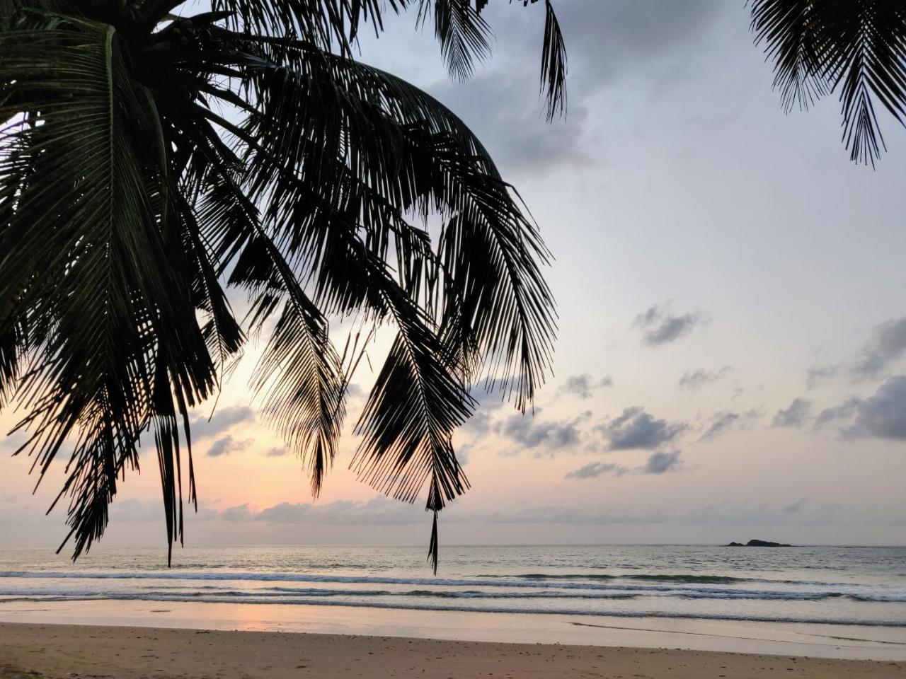 Serenity Haven Lodge Busua 外观 照片